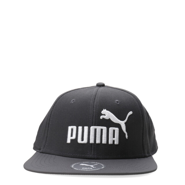 Gorra Puma Logo Flat Brim Gris