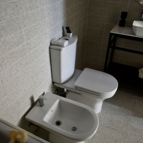 Griferia De Bidet Monocomando Cromo Clever Con Transferencia 000