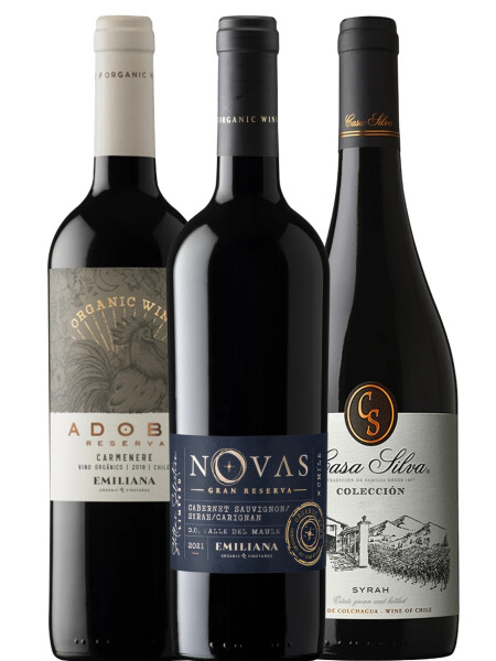 Pack Chile Pack Chile