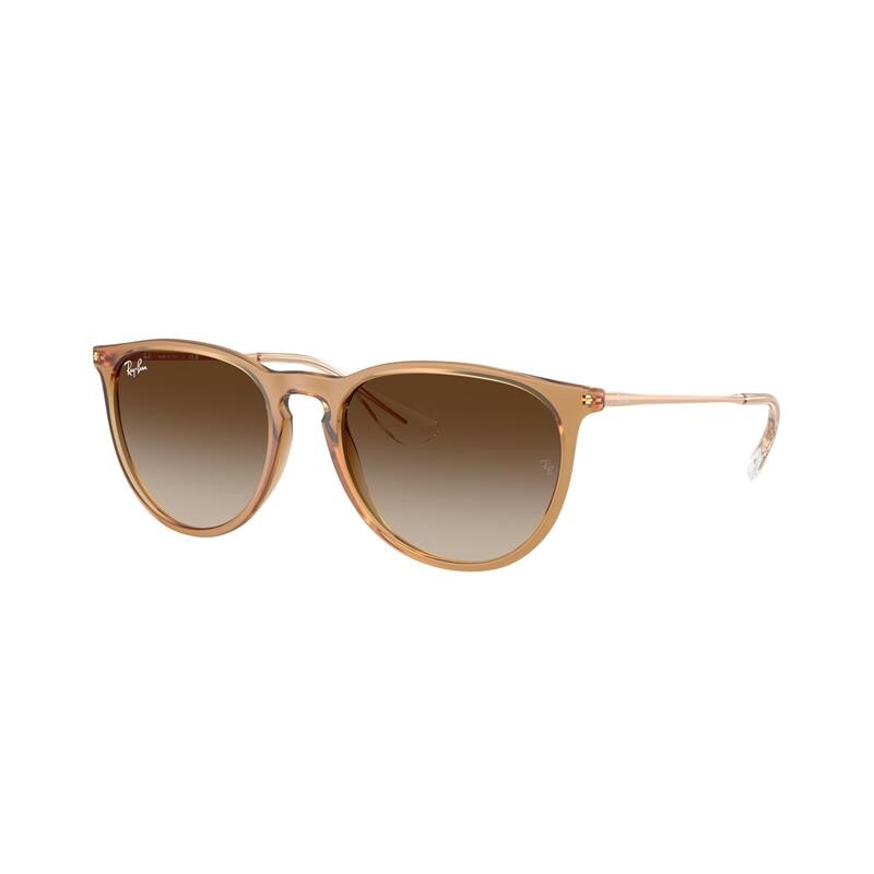 Ray Ban Rb4171 Erika 6814/13